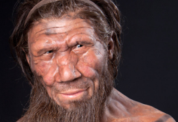 Homo neanderthalensis. reconstituição de como seria a face do Neandertal de Gibraltar I. Fonte: Natural History Museum